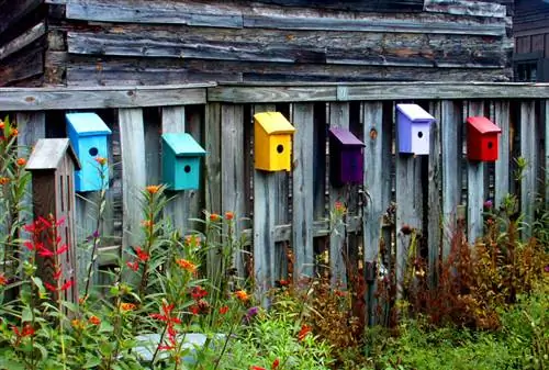 скворечники забор