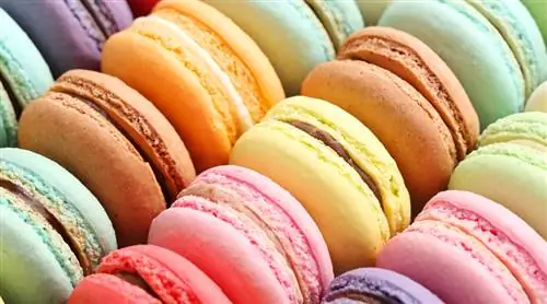 Macarons (французское безе) от Роберта ван Бекховена