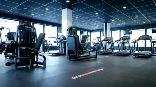 Библиотеки, зоопарки и спортивные залы вновь открываются; это разрешено снова