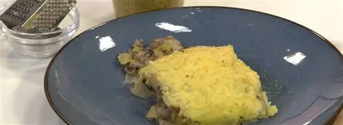 Запеканка из цикория