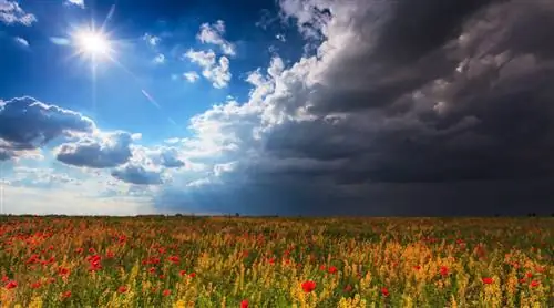 Откуда берется переменчивая погода?