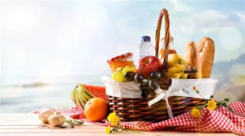 Прохладные закуски и напитки во время пикника