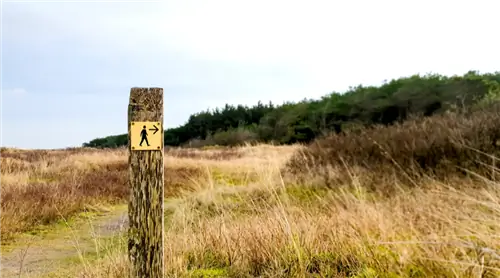 Прогулка по самому старому пешеходному маршруту в Нидерландах? Можно (пока)