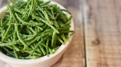 Самфировый бургер от Сандры Исбранди