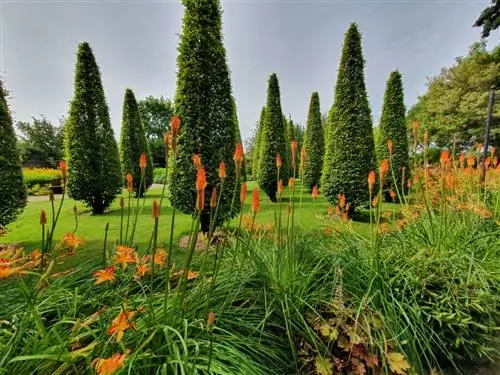 Сады Аппельтерна