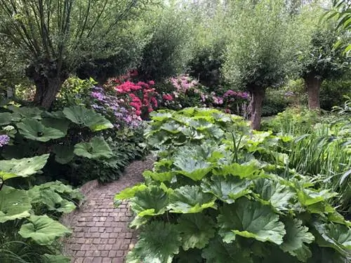 Сады Аппельтерна