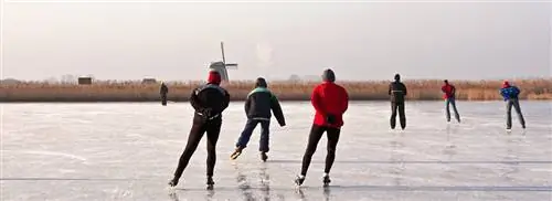 Погода: катание на коньках в смазке