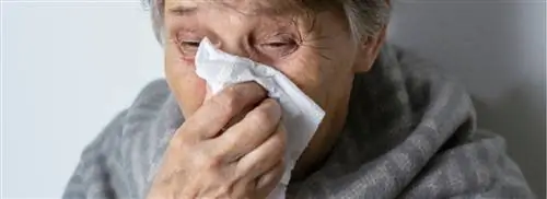 Как насчет? Почему люди, которые соблюдают все меры по защите от коронавируса, все еще простужаются?