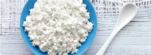 Творог на самом деле сыр или нет?