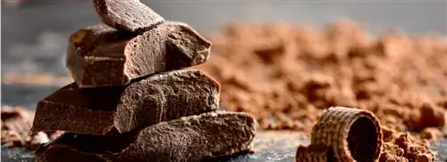 Шоколадный торт от Анук Глаудеманс