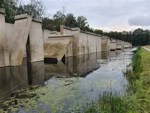 Водоток лес
