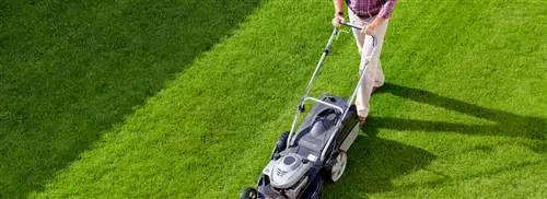 Советы по садоводству от Тома Грута: газон