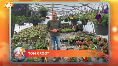 Советы по садоводству от Тома Грута: где лучшее растение?