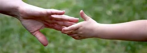 Горячая линия: приемные родители, игрушка для опеки молодежи и муниципалитетов