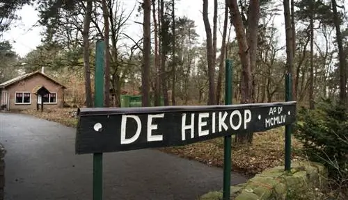 кемпинг ники ферстаппен