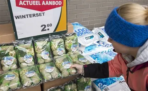 толстые яйца