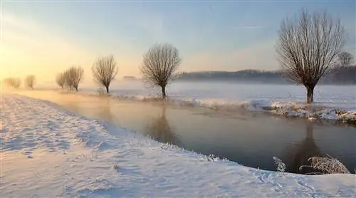 Погода: больше зимних прогнозов от Пита Паулусмы