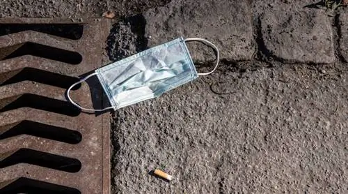 Разумно ли выбрасывать бродячие маски в мусорное ведро?