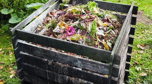 Сделайте свой собственный компост из овощей, фруктов и садовых отходов