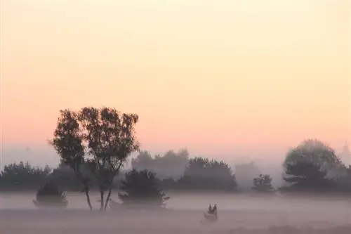 отсутствует