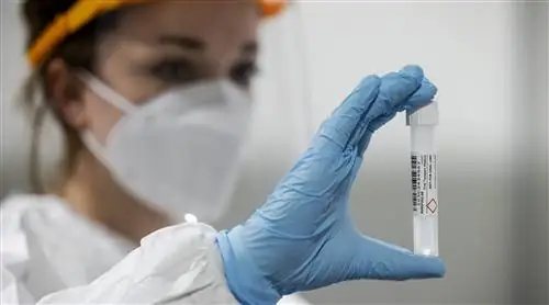 Как насчет? В чем разница между тестом на антиген и антитело?