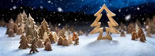 200 лет Рождеству и миру песня Silent Night! Святая ночь