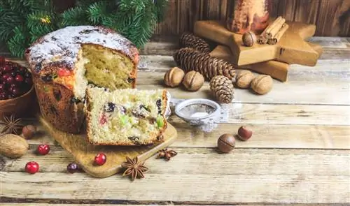 панеттоне ария-describedby=caption-attachment-92732