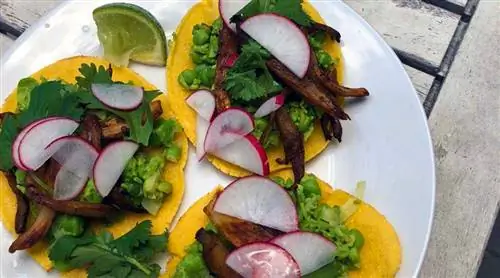 Эмина Зорлак: День животных - это День тако