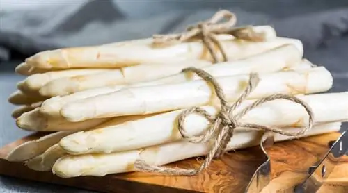 Классическая спаржа