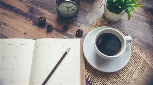 Создание достижимых новогодних обещаний - вот как вы это делаете согласно De FridgeCoach