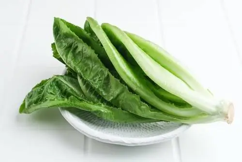 римский салат