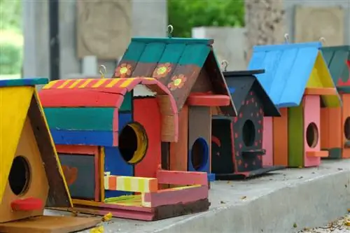 домики для птиц