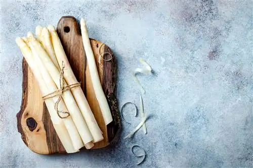 Вкусные и полезные овощи, которые можно купить прямо сейчас