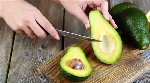 Так вы быстрее получите слишком твердый авокадо