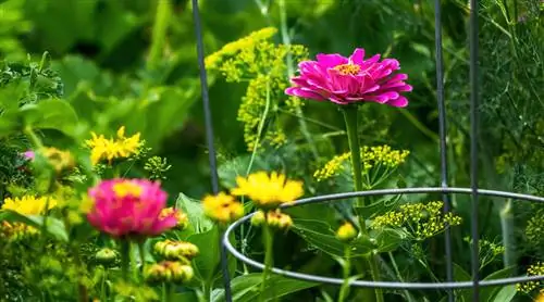 Подвязывайте и поддерживайте садовые растения, чтобы они не сгибались и не сгибались