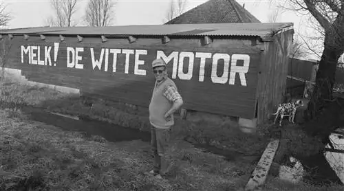 Всегда (не)здоровый: в прошлом у этих продуктов была совсем другая репутация