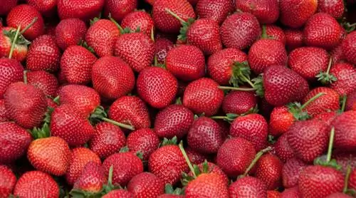 Перезрелый фрукт? Не выбрасывайте, а делайте всякие вкусности