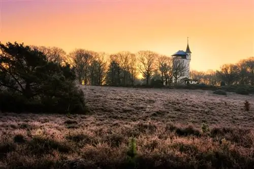 Салландсе Хевелрюг