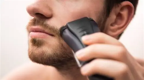 Лучше бриться ’утром или ’вечером?