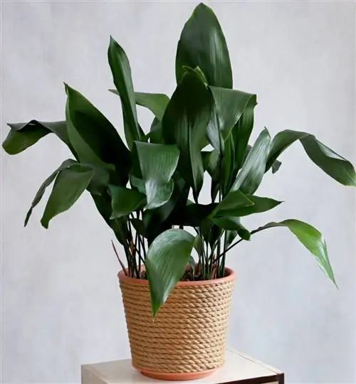 квартальный завод