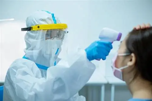 Сгустки крови виноваты в смерти от COVID-19? У нас есть лекарства для этого! Сгустки крови виноваты в смерти от COVID-19? У нас есть лекарства для этого!