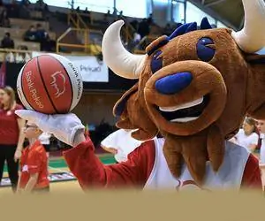 Мы знаем победителей баскетбольного конкурса Bank Pekao AleAkcja