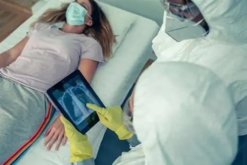 Корона вирус. Поляки обучают американцев борьбе с пандемией!