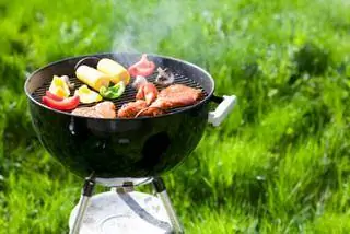 решетка для тела