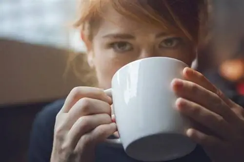 Этот чай улучшит ваше настроение и избавит от депрессии. Вы можете купить его в любом магазине