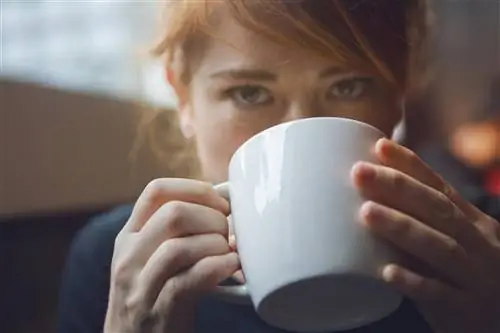 Этот чай улучшит настроение и избавит от депрессии. Вы можете купить его в любом магазине