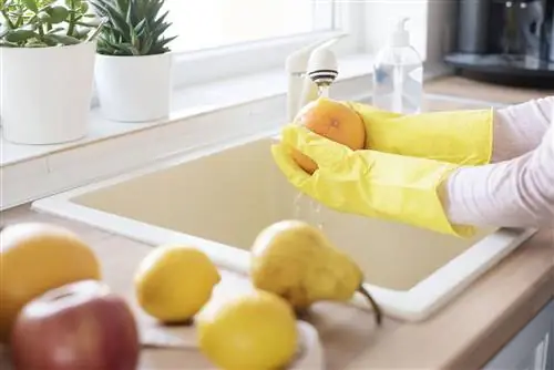 Коронавирус в Польше: как дезинфицировать продукты после возвращения из магазина? Новые рекомендации