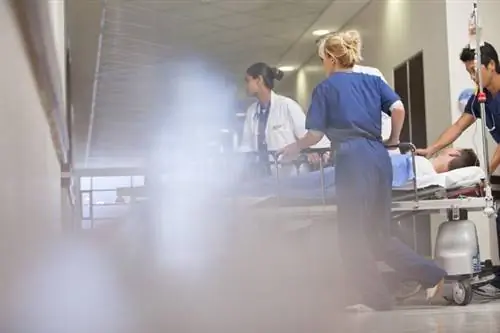 Вызывает ли коронавирус инсульт? Эксперты бьют тревогу