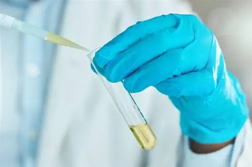 Родился супер-антибиотик. Он будет бороться с бактериями, которые до сих пор считались неизлечимыми.