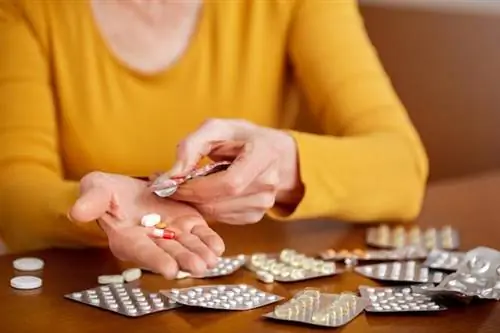 Еще долго ждать лекарство, которым пользуются многие женщины. Мы знаем, когда он снова появится в аптеках.